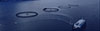 Working Together to Advance the Aquatic Industry