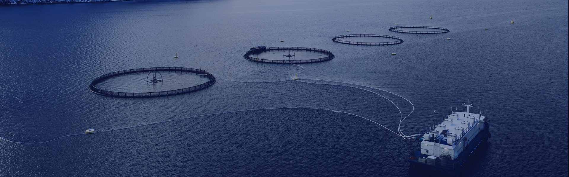 Working Together to Advance the Aquatic Industry