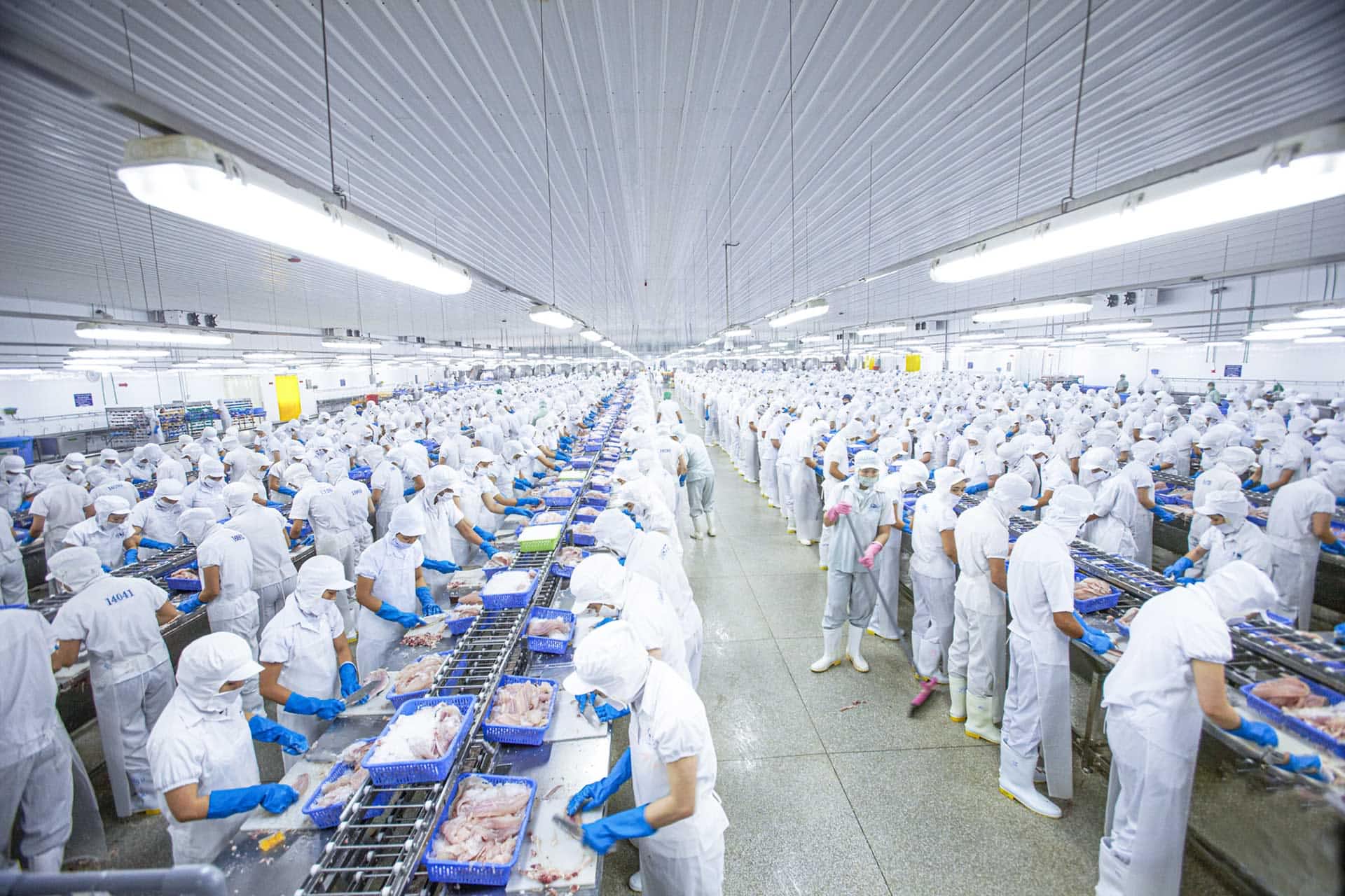 Standardized 
Fresh Food Supply Chain