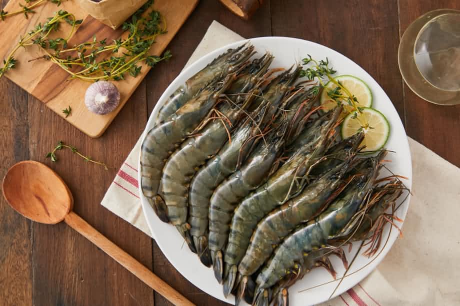 Shrimp Series