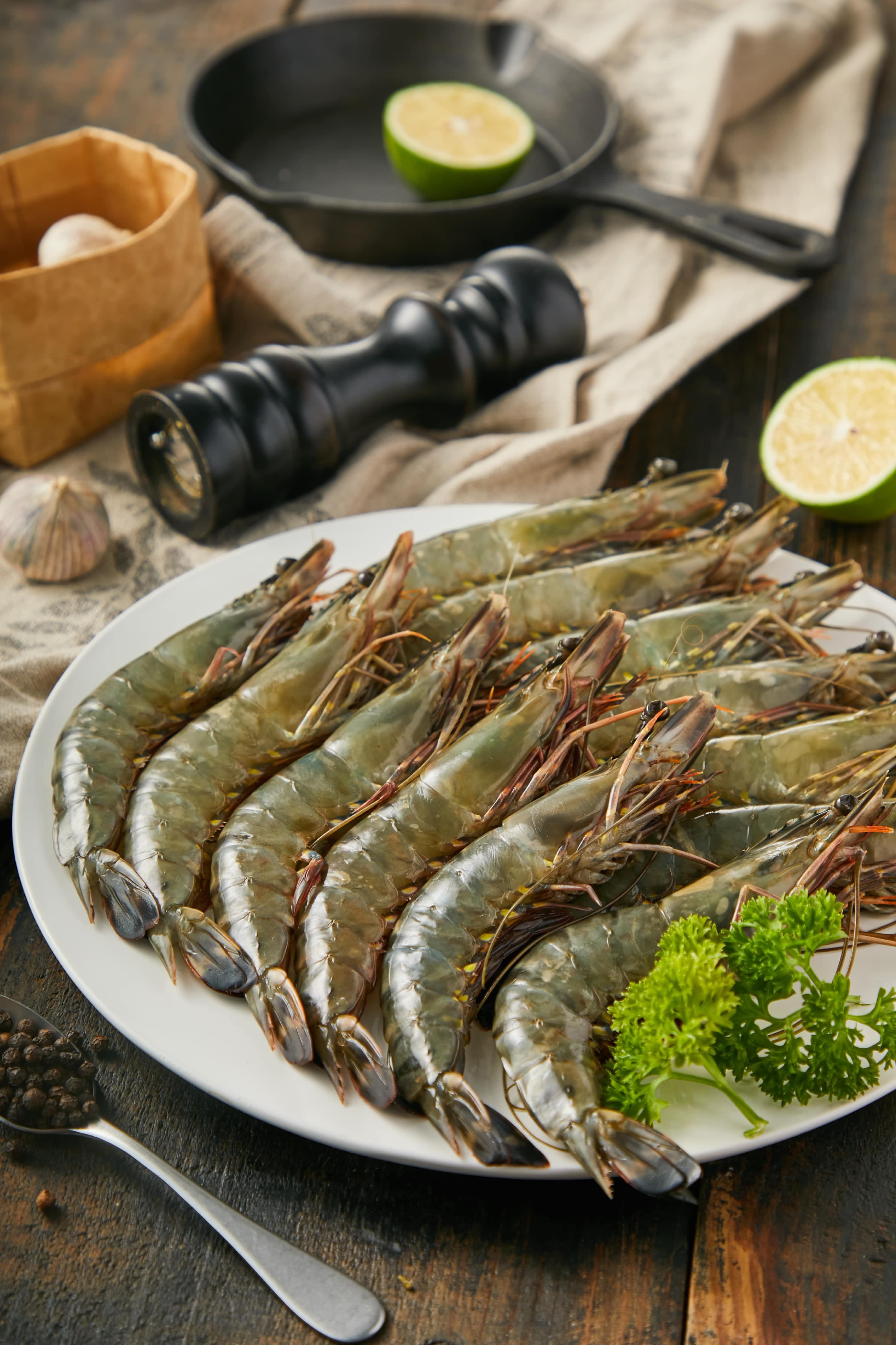 Shrimp Series