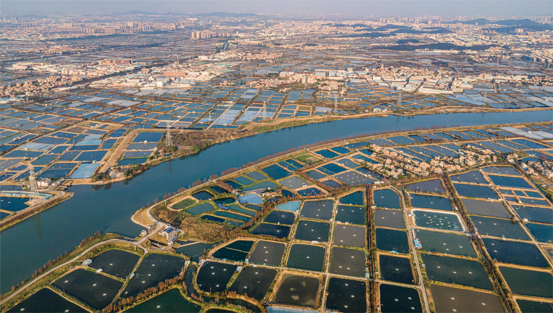 Pond Management